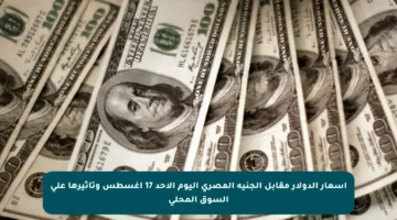 أسعار الدولار مقابل الجنيه المصري اليوم الأحد 17 أغسطس وتأثيرها على السوق المحلي